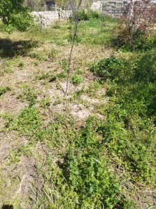image 377642