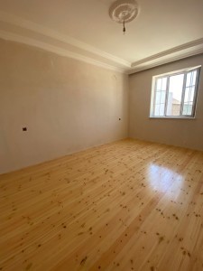 image 377647