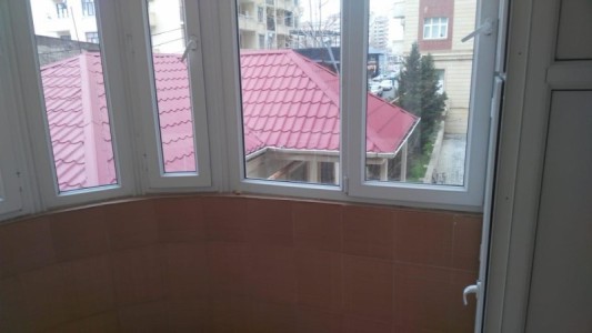 image 377650