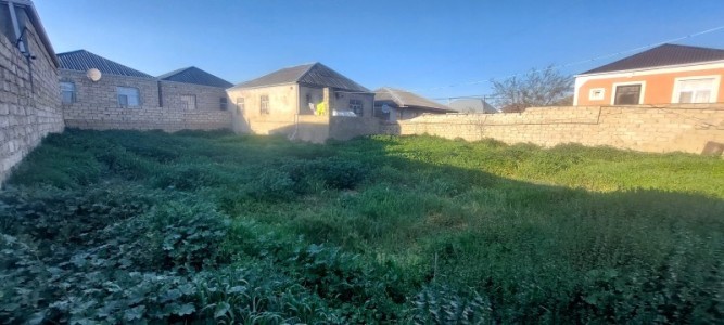 image 377655