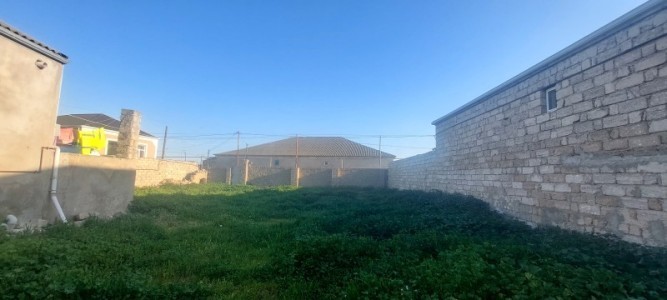 image 377655