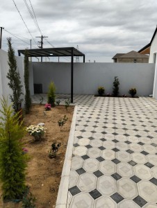 image 377656