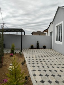 image 377656