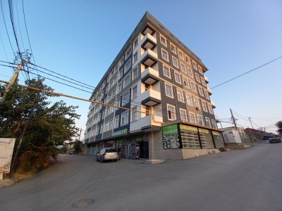 image 377657