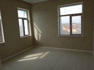 image 377657