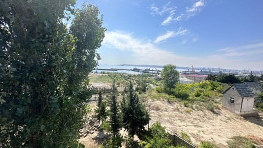 image 377659