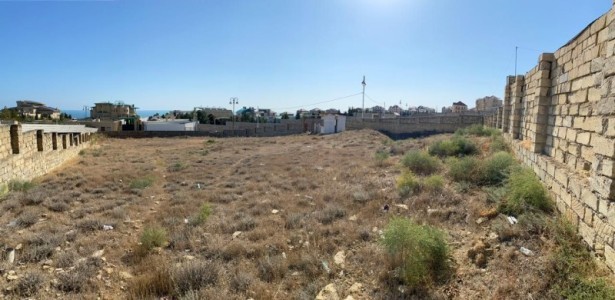 image 377659