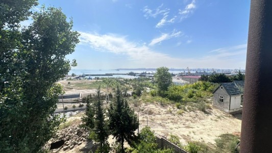 image 377659