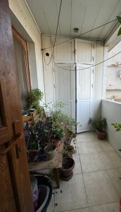 image 377667