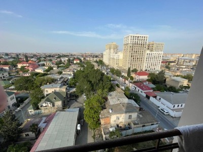 image 377669