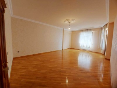 image 377670
