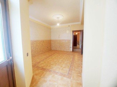 image 377670