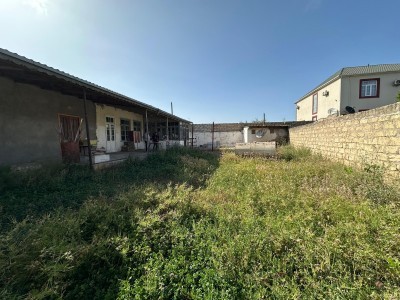 image 377674