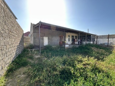 image 377674