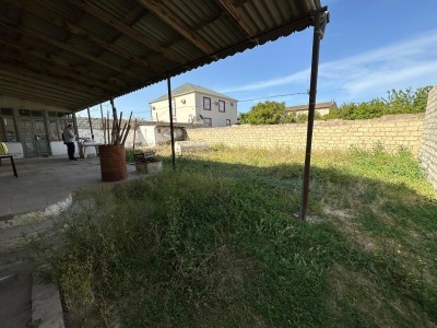 image 377674