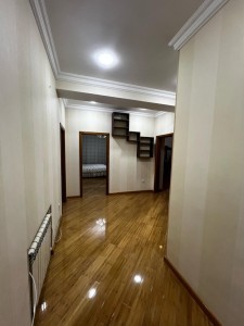 image 377675
