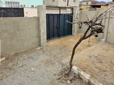 image 377683