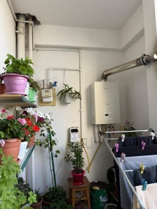 image 377686