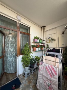 image 377686