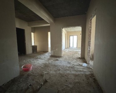image 377688