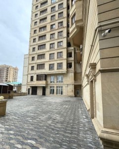 image 377688