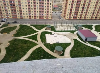 image 377690