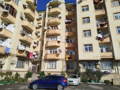 image 377691