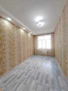image 377702