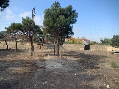 image 377705
