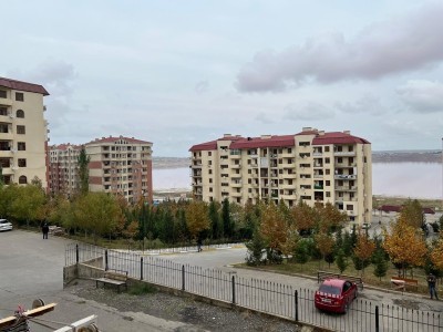 image 377706
