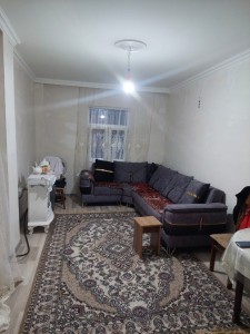 image 377713