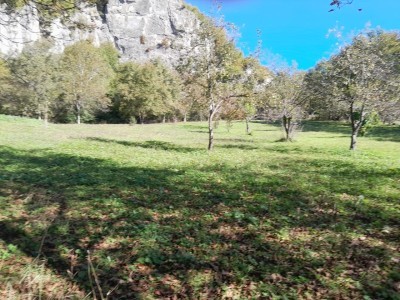 image 377719