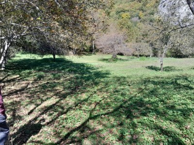 image 377719