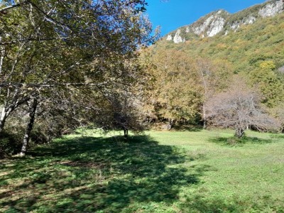 image 377719