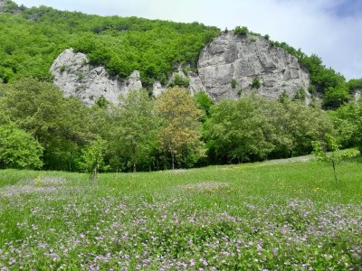 image 377719