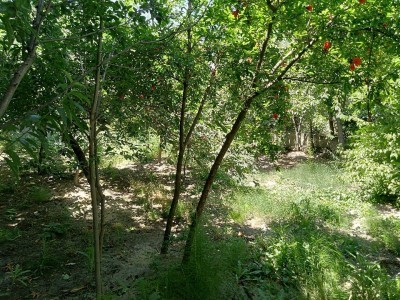 image 377723