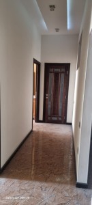 image 377729