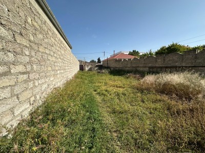 image 377732