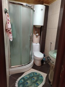 image 377739