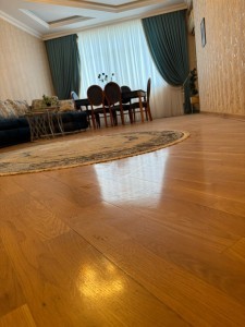 image 377743