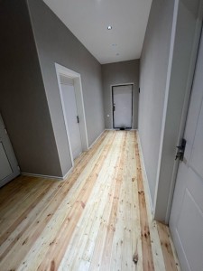 image 377754
