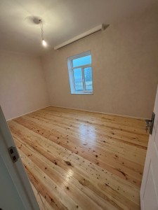 image 377754