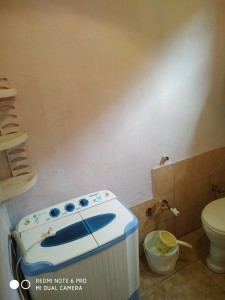 image 377755