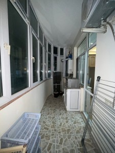 image 377775