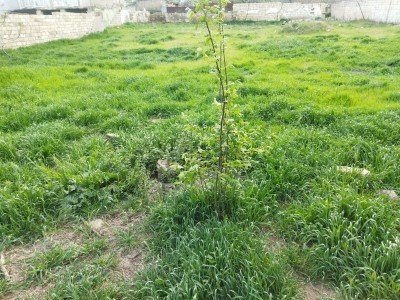 image 377780