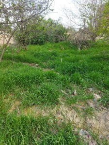 image 377780