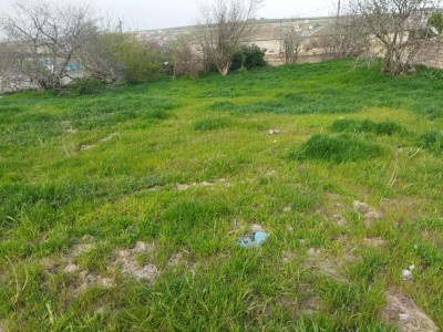 image 377780