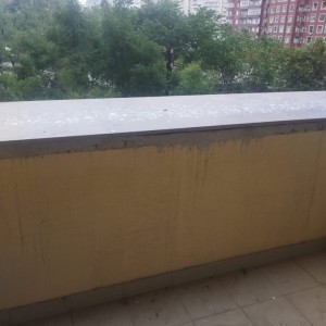 image 377783
