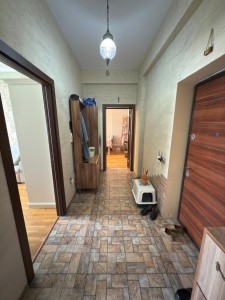 image 377784