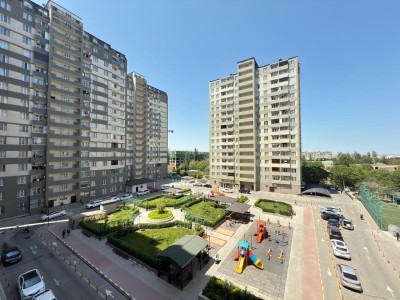 image 377784